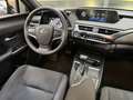 Lexus UX 250h Business Navigation 4WD Gris - thumbnail 23