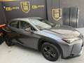 Lexus UX 250h Business Navigation 4WD Gris - thumbnail 5