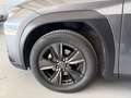 Lexus UX 250h Business Navigation 4WD Gris - thumbnail 16