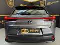 Lexus UX 250h Business Navigation 4WD Gris - thumbnail 12