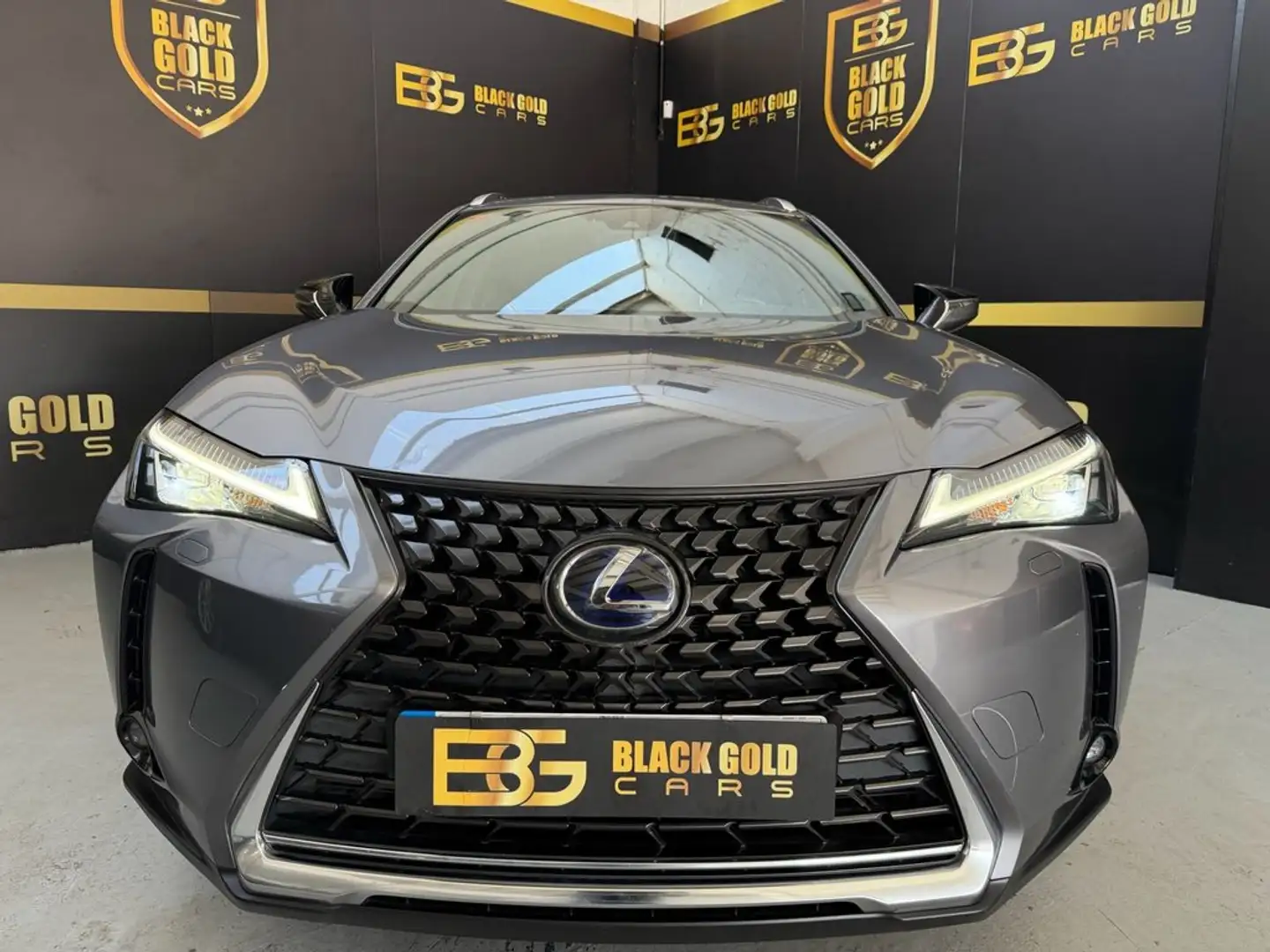 Lexus UX 250h Business Navigation 4WD Gris - 2