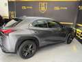 Lexus UX 250h Business Navigation 4WD Gris - thumbnail 9