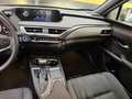 Lexus UX 250h Business Navigation 4WD Gris - thumbnail 24