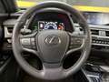 Lexus UX 250h Business Navigation 4WD Gris - thumbnail 26