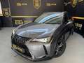 Lexus UX 250h Business Navigation 4WD Gris - thumbnail 7