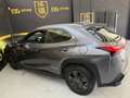 Lexus UX 250h Business Navigation 4WD Gris - thumbnail 10