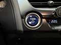 Lexus UX 250h Business Navigation 4WD Gris - thumbnail 38