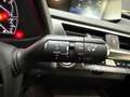 Lexus UX 250h Business Navigation 4WD Gris - thumbnail 37