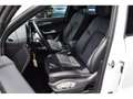 Porsche Macan 2.0 T PDK TO MEMO LANE SIDE CAM 1° MAIN Blanc - thumbnail 6