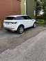 Land Rover Range Rover Evoque 5p 2.2 td4 Launch edition 150cv - thumbnail 3