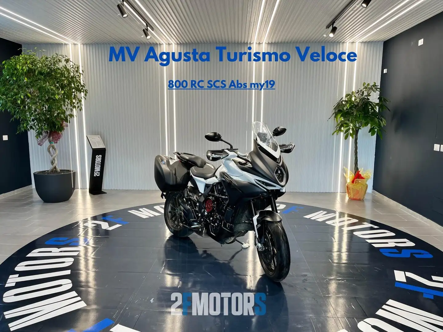 MV Agusta Turismo Veloce 800 LUSSO SCS Abs my19 Grau - 1