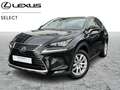 Lexus NX 300h Executive Line Zwart - thumbnail 1