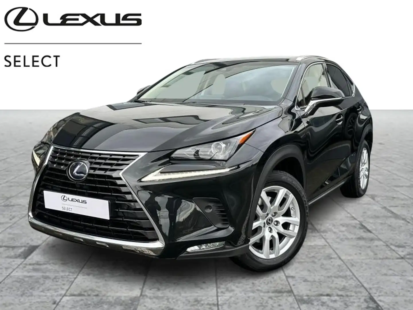 Lexus NX 300h Executive Line Zwart - 1