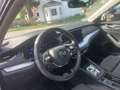 Skoda Octavia 1.4 TSI iV DSG Plug-in-Hybrid ACC Navi Ergo-Sitze Weiß - thumbnail 8