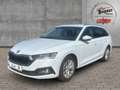 Skoda Octavia 1.4 TSI iV DSG Plug-in-Hybrid ACC Navi Ergo-Sitze Weiß - thumbnail 1