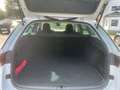 Skoda Octavia 1.4 TSI iV DSG Plug-in-Hybrid ACC Navi Ergo-Sitze Weiß - thumbnail 11