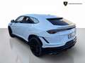 Lamborghini Urus Urus 4.0 V8 auto S AKRAPOVIC - thumbnail 5