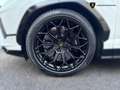 Lamborghini Urus Urus 4.0 V8 auto S AKRAPOVIC - thumbnail 10