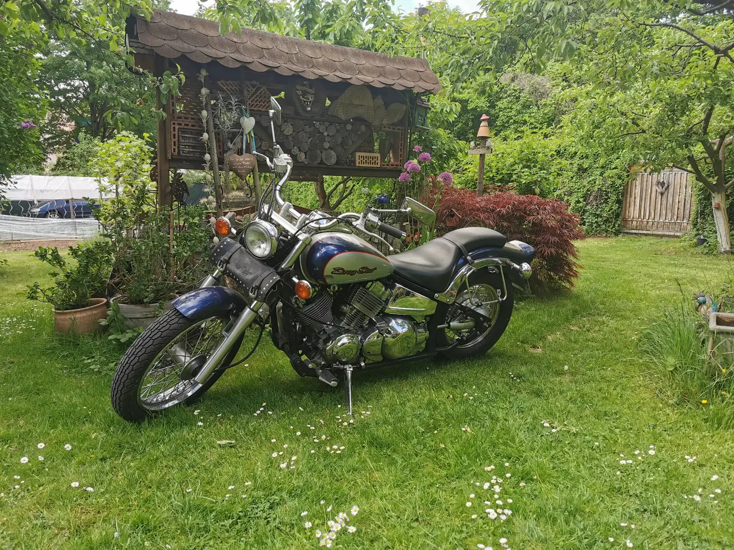 Yamaha XVS 650 Albastru - 2