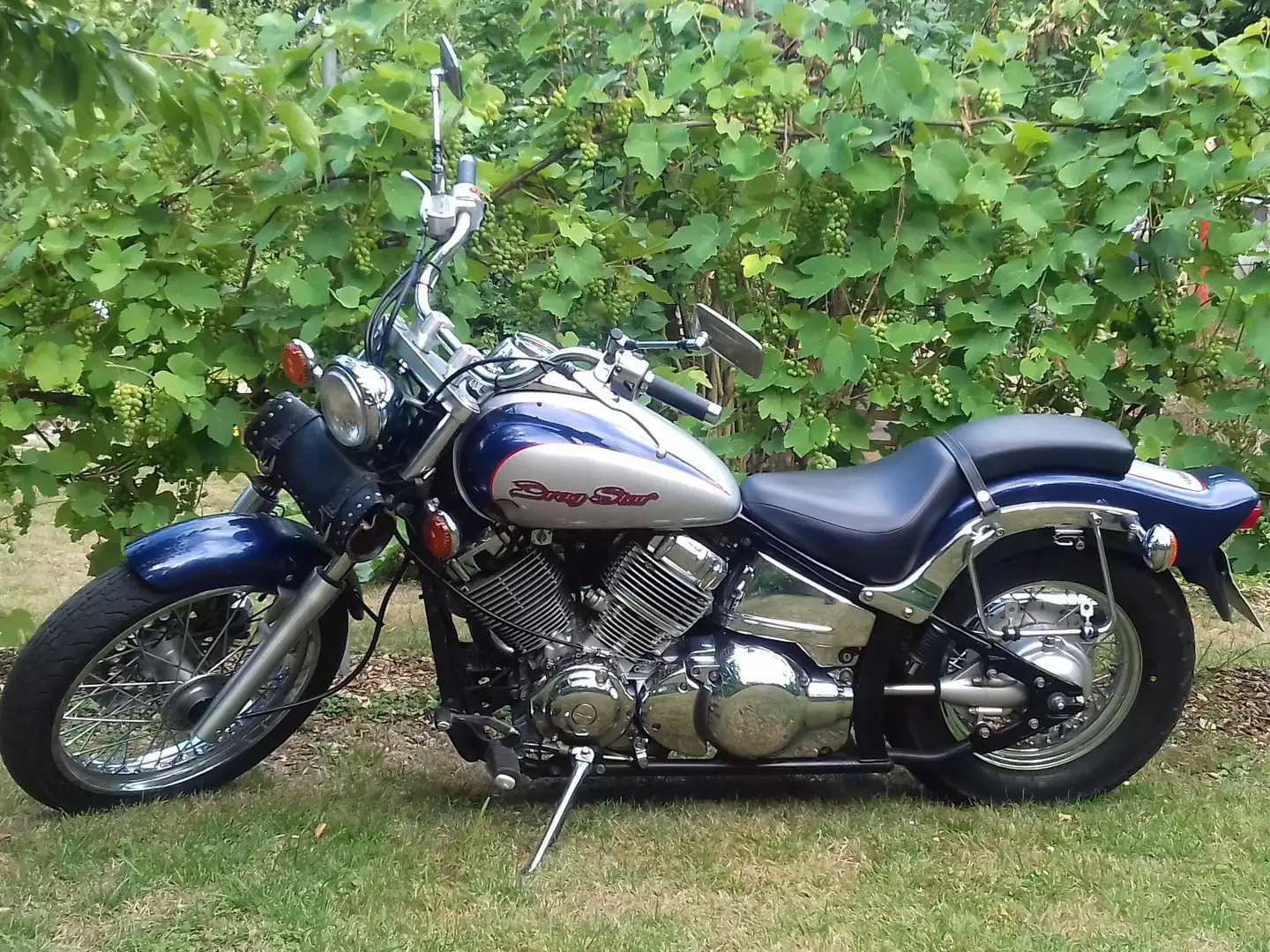 Yamaha XVS 650 Albastru - 1