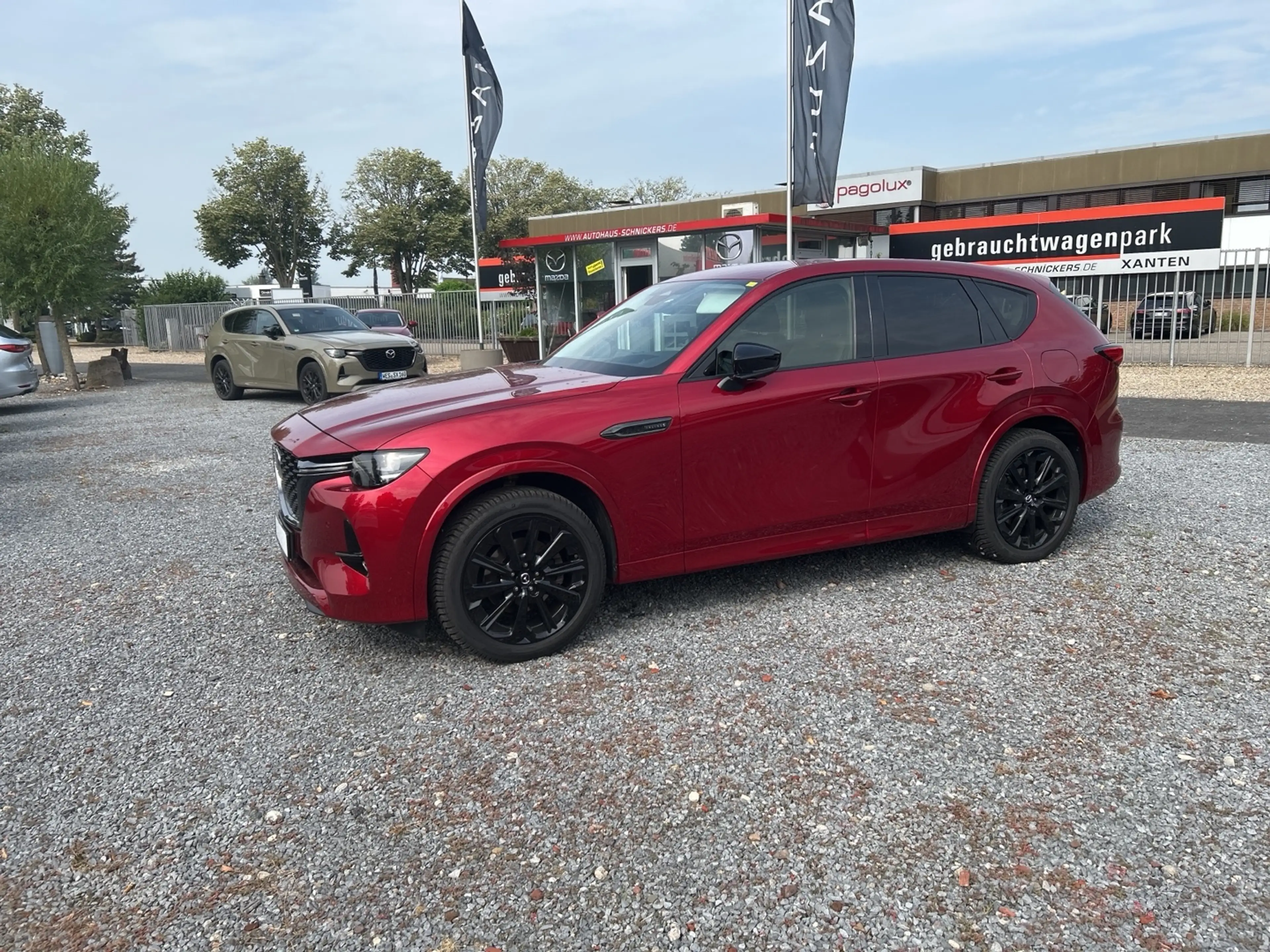 Mazda CX-60 e-SKYACTIV-D 254 Homura AWD — photo 2