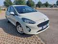 Ford Fiesta Fiesta 5p 1.1 Titanium 75 CV GPL 5p. Plus Bianco - thumbnail 1