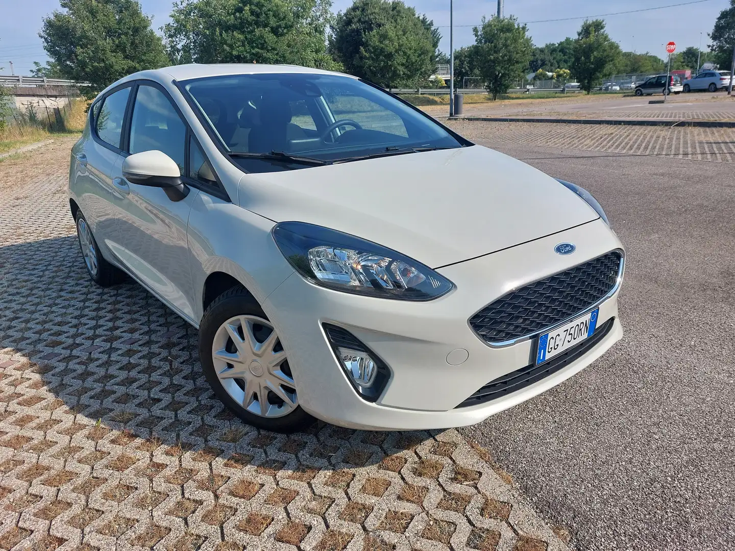 Ford Fiesta Fiesta 5p 1.1 Titanium 75 CV GPL 5p. Plus Bianco - 1