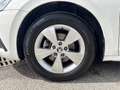 Skoda Octavia Wagon 2.0 tdi evo Executive 150cv dsg Wit - thumbnail 5