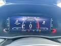 Skoda Fabia Fabia 116PS DSG Tot-Winkel SHZ PDC Kamera Garantie Blanc - thumbnail 24