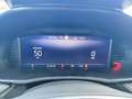 Skoda Fabia Fabia 116PS DSG Tot-Winkel SHZ PDC Kamera Garantie Blanc - thumbnail 23