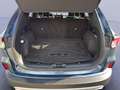 Ford Kuga Titanium X 2.5 PHEV *AHK*ERGO*ACC*LED*HEAD* Blau - thumbnail 19