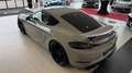 Porsche Cayman 718  GT4 Grau - thumbnail 20