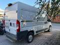 Fiat Ducato 35 3.0 CNG PM-TM Furgone Wit - thumbnail 5