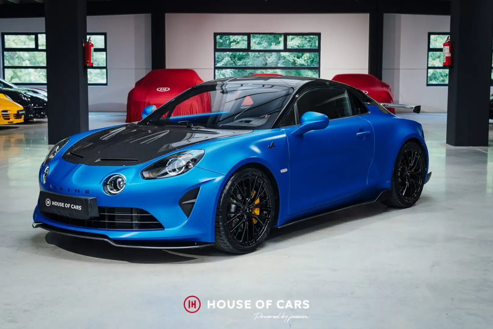 Alpine A110 A110R - Racing Blue Mat F1 - PPF - Belgian car Bleu - 2