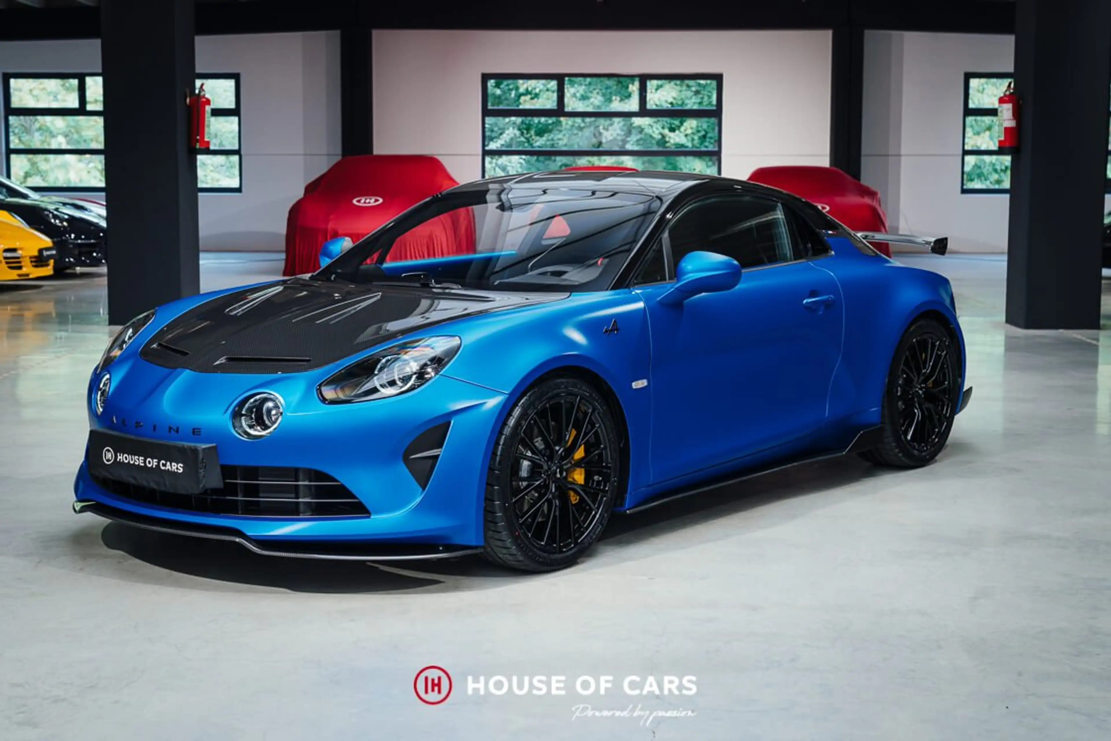 Alpine A110 A110R - Racing Blue Mat F1 - PPF - Belgian car — photo 2