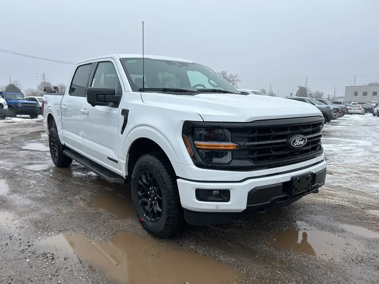 Ford F 150 снимка Ford F 150