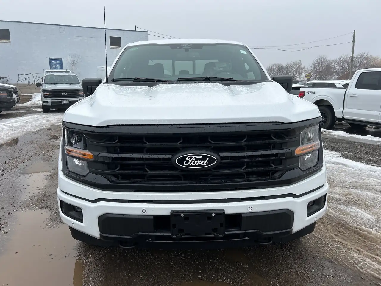 Ford F 150 снимка Ford F 150