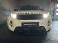 Land Rover Range Rover Evoque 2.2 eD4 2WD Prestige✅Sfeerverlichting✅Cruise Contr Weiß - thumbnail 31