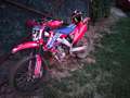 Honda CRF 250 4 tempi Czerwony - thumbnail 1