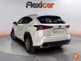 Lexus NX 300 300h Executive 4WD Blanc - thumbnail 5