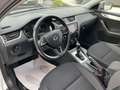 Skoda Octavia 1.5 DSG Wagon Executive G-Tec Gris - thumbnail 19