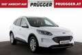 Ford Kuga 1,5 EcoBlue Diesel Titanium Autom NAVI LED KEYLESS Weiß - thumbnail 4