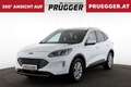 Ford Kuga 1,5 EcoBlue Diesel Titanium Autom NAVI LED KEYLESS Weiß - thumbnail 1
