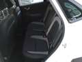 Hyundai KONA I 2017 Benzina 1.0 t-gdi Xtech fca 2wd 120cv Weiß - thumbnail 19