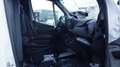 Mercedes-Benz Sprinter 317 (Stock ID 22422) Blanc - thumbnail 11