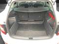 Skoda Fabia Combi TSI Best-of DSG Navi Climatronic GRA PDC ... Weiß - thumbnail 14