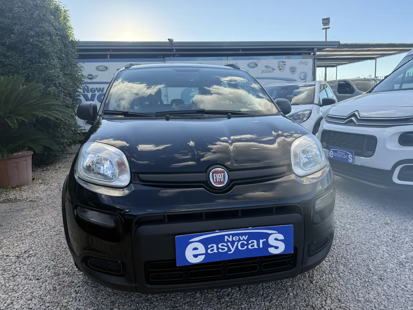 Fiat Panda Panda III 2021 1.0 firefly hybrid City Life s Nero - 1