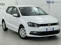Volkswagen Polo Polo 5p 1.0 mpi Trendline 60cv Weiß - thumbnail 1