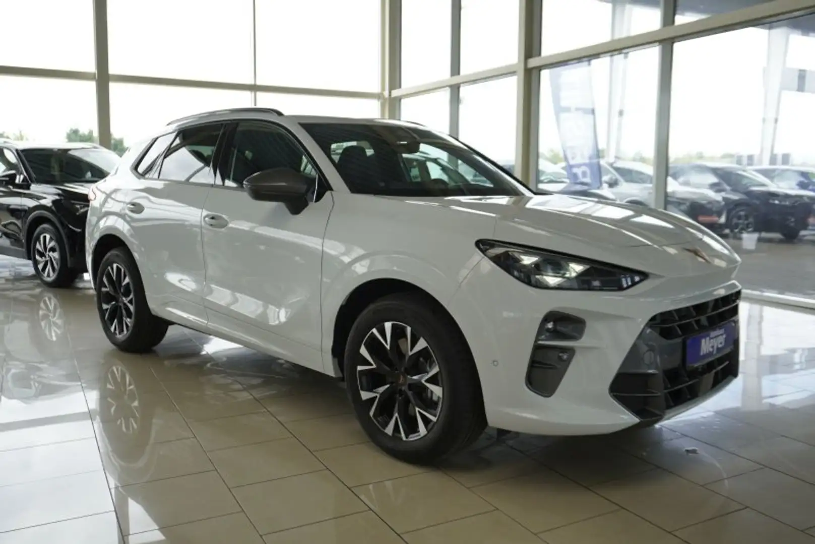 CUPRA Terramar 2.0TSI 4Drive aAHK/Standhz/ACC/el.Klappe     ** Wit - 1