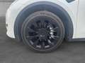 Tesla Model Y MODEL Y Standard RWD Blanco - thumbnail 15
